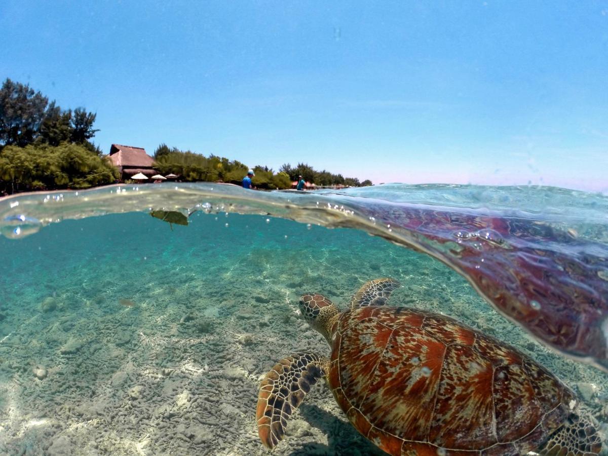 Mimpi Bungalow Ilhas Gili Exterior foto